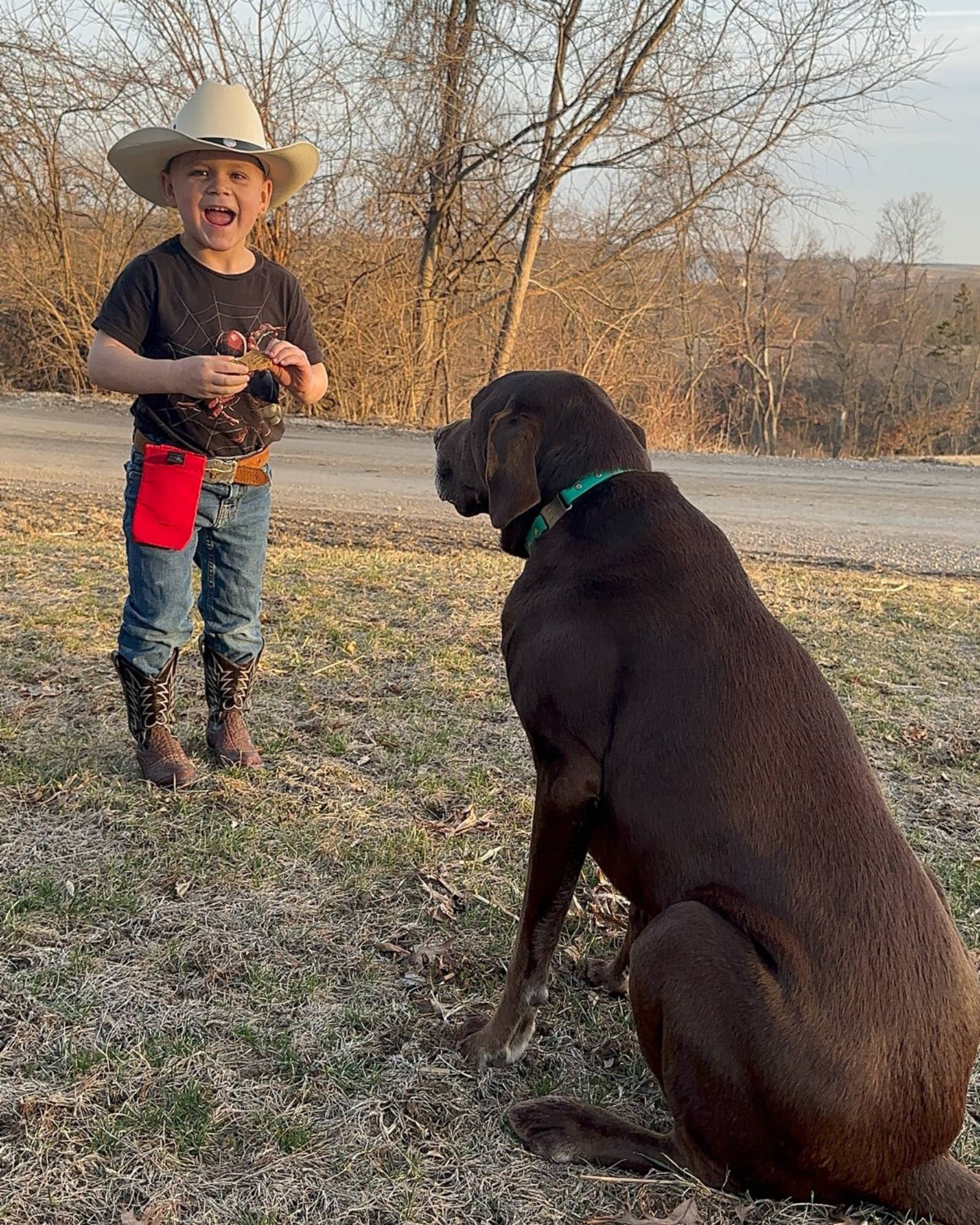 Small | 3⅝" W × 6" H